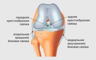 Всё о боли в коленях — причины, виды и локализация