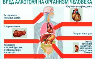 Как вылечить алкоголика с пожизненной гарантией результата?