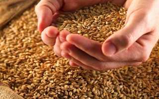 Овес при сахарном диабете: полезный и доступный продукт