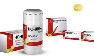 Можно ли Но-Шпу беременным на ранних и поздних сроках