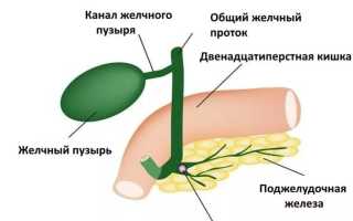 Водянка желчного пузыря: причины, диагностика, лечение