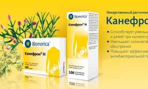 Для чего назначают и как принимать Канефрон при беременности