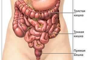 Что такое дисахаридазная недостаточность: методы ее выявления и лечения