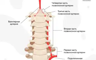 Лечение унковертебрального артроза шейного отдела