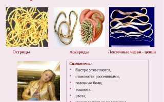 Острицы у взрослых: симптомы и лечение народными средствами