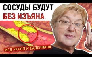 Сосуды будут без изъяна, если принимать настой укропа, меда и валерианы