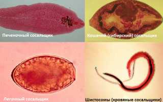 Фазижин для лечения паразитов, инструкция по применению, аналоги, отзывы
