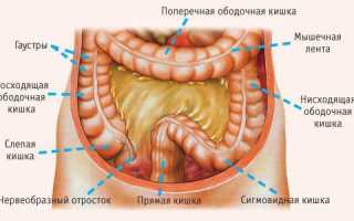 Способы избавления от слизи в желудке и кишечнике