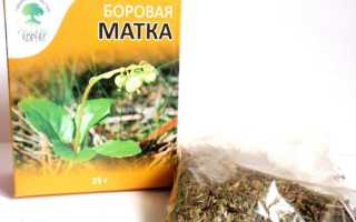 Инструкция по применению боровой матки для зачатия