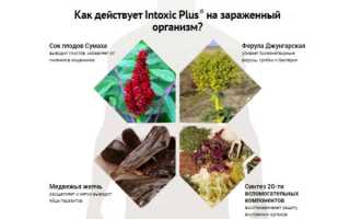 Intoxic: инструкция по применению, реальные отзывы покупателей