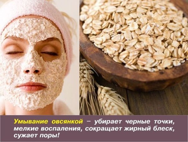 черные точки овсянка