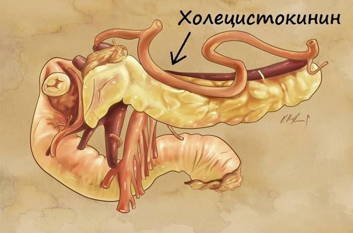 кофе как слабительное