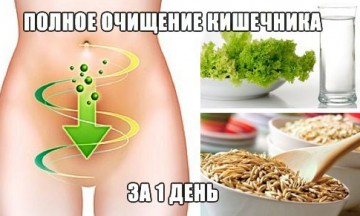 Колоноскопия кишечника: подготовка к процедуре