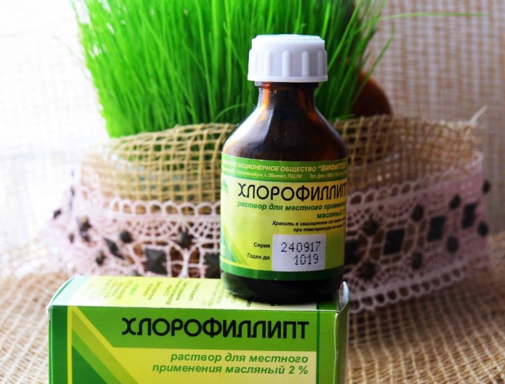 Хлорофиллипт