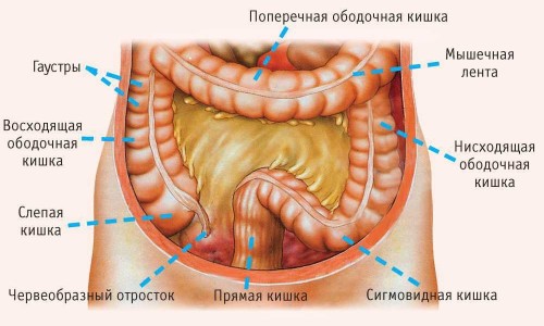 скопление слизи в кишечнике