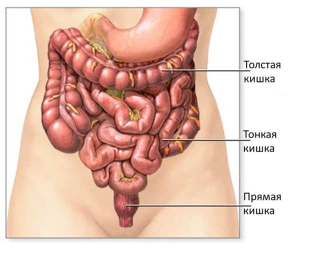 дисахаридазная недостаточность