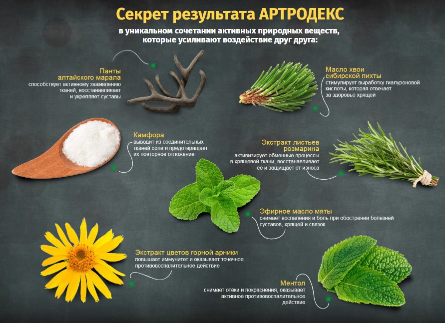 sostav Artrodex