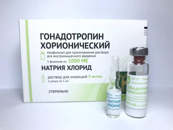 ЛГ у женщин