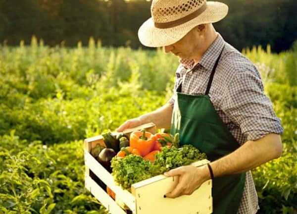 Какие овощи можно кормящей маме, кабачки, шпинат и другие в первый месяц грудного вскармливания0