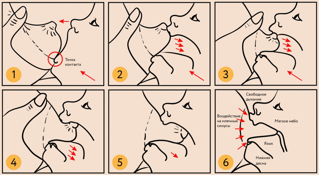 точкиприкладывания.jpg точкиприкладывания.jpg
