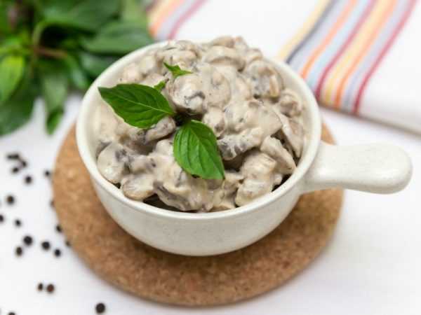 Можно ли при грудном вскармливании грибы кормящей маме в первый, второй месяц и далее12