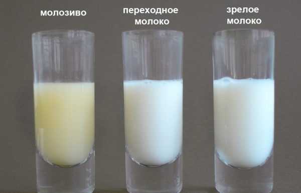 Лактационный криз при грудном вскармливании: когда бывает, что нужно делать, терминология