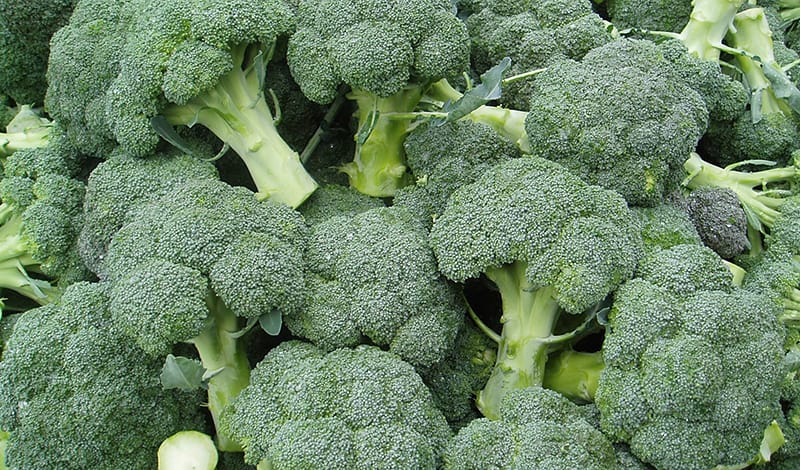 Брокколи