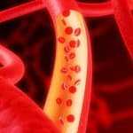 Творог и сметана при грудном вскармливании: можно ли кормящей маме в первый месяц и дальше