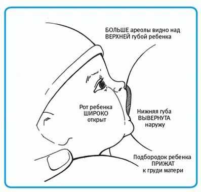 Достинекс от грудного вскармливания: инструкция по применению, аналоги, отзывы10