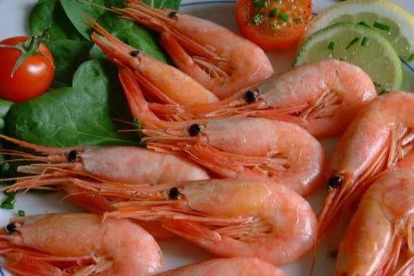 Какую рыбу можно кормящей маме, красную, соленую, семгу при грудном вскармливании2