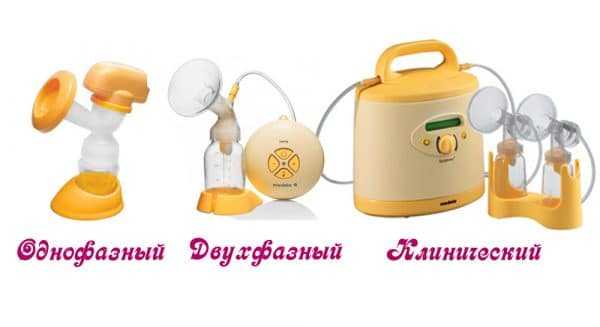 Как правильно сцеживать грудное молоко молокоотсосом: как часто, для чего он нужен, отзывы1