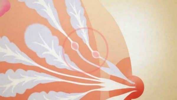 Болит грудь при кормлении: покалывание и набухание молочных желез при грудном вскармливании, как бороться с проблемой12