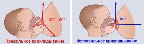 Правильное прикладывание и захват при грудном вскармливании: приемы и позы, фото, видео6