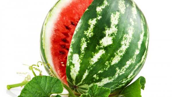 Продукты увеличивающие грудное молоко у кормящей мамы: какие продукты помогают, отзывы2