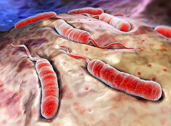 Анализ грудного молока на стерильность, жирность и антитела: как и где сдавать кормящей маме8