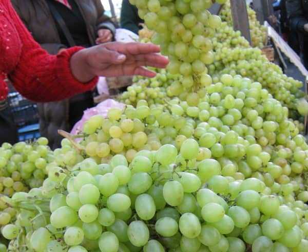 Можно ли кормящей маме виноград, последствия при грудном вскармливании