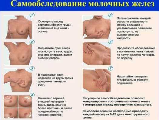 Болит грудь при кормлении: покалывание и набухание молочных желез при грудном вскармливании, как бороться с проблемой17