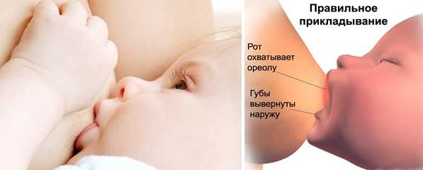 Правильное прикладывание и захват при грудном вскармливании: техника и позы, фото, видео5