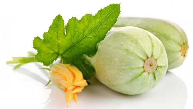 Как приготовить кабачок для первого прикорма ребенка — рецепт пюре из кабачка