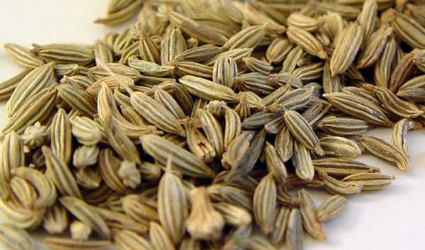 Тушеный фенхель для кормящих мам: как заваривать, рецепт при грудном вскармливании, колики0