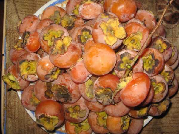 Можно ли кормящей маме хурму: польза при грудном вскармливании