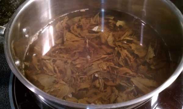 Чабрец при грудном вскармливании и чай с ним: можно ли кормящей маме13