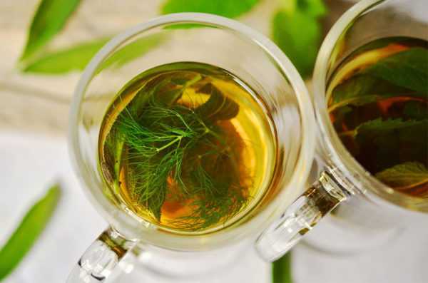 Чай из свежего фенхеля нужно давать малыми дозами