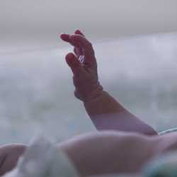 Ручка ребенка Ребенок поднял ручку