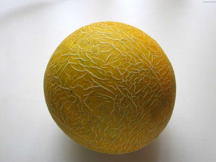 Спелая дыня Дыня запрещена для мамы-аллергика