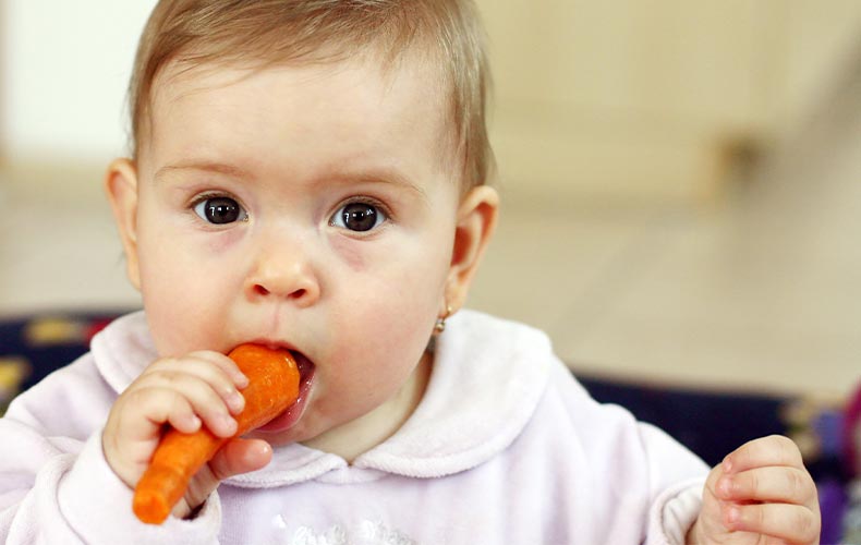 Все о правильном прикорме ребенка: как вводить, начало и схема прикорма по месяцам