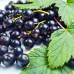 Чабрец при грудном вскармливании и чай с ним: можно ли кормящей маме7