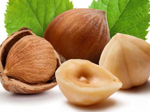 Фундук очень полезен