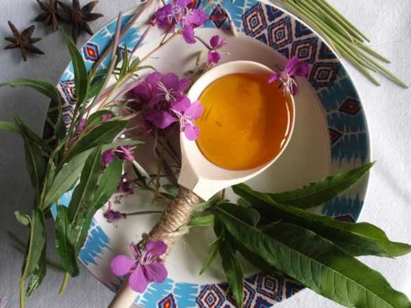 Иван-чай имеет и плюсы, и минусы