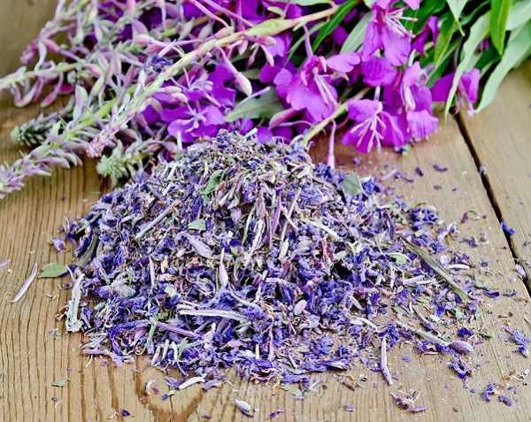 Полезные вещества растения